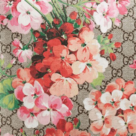 gucci bloom screensaver|gucci flower background.